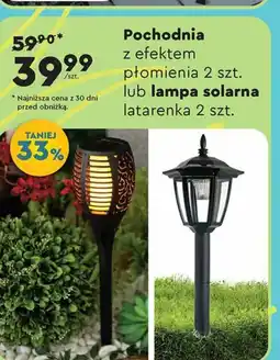 Biedronka Pochodnia z efektem oferta
