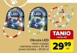 Carrefour Obroża LED oferta