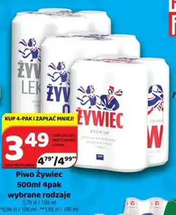 Delfin Piwo Żywiec 500 ml oferta
