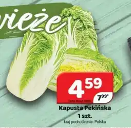 Delfin Kapusta Pekińska szt. oferta