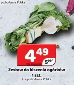 Delfin Zestaw do kiszenia ogórków szt. oferta