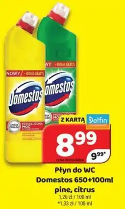Delfin Płyn do WC Domestos 650+100ml oferta