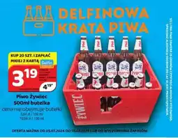 Delfin Piwo Żywiec 500 ml oferta