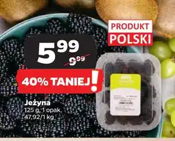 Netto Jeżyny polska Z ZIELENIAKA NETTO oferta