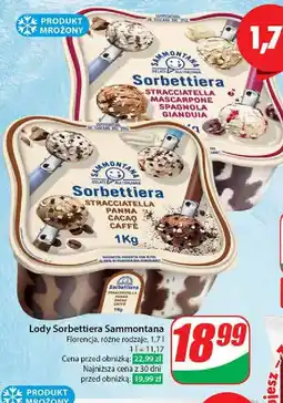 Dino Lody waniliowo-śmietankowe z płatkami czekolady oferta