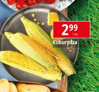 E.Leclerc Kukurydza oferta