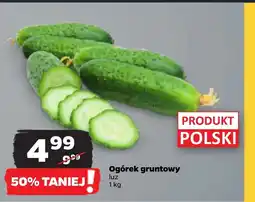Netto Ogórek Polski oferta