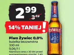 Netto Piwo Żywiec oferta