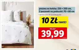 Lidl Poszewka na kołdrę oferta