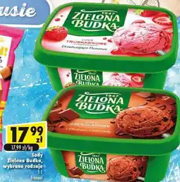 Premium Nasz Sklep Zielona Budka Lody 1l oferta
