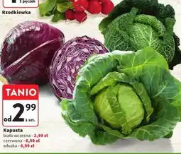 Intermarche Kapusta oferta