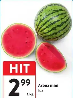 Intermarche Arbuz mini luz oferta