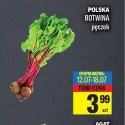 TomiMarkt POLSKA BOTWINA pęczek oferta