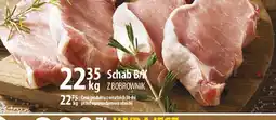 Schab BYK Z BOBROWNIK