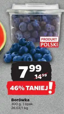 Netto Borówka 300 g oferta