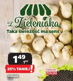 Netto Czosnek 1 szt. oferta