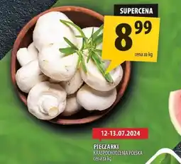 Arhelan Pieczarki oferta