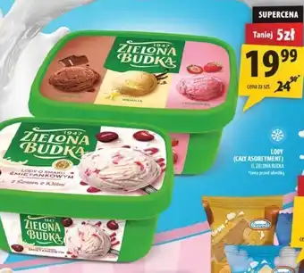 Arhelan Lody Zielona Budka oferta