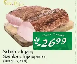 Nik-Pol Schab z kija kg
