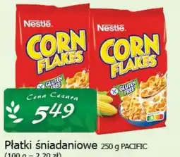 Cezar Delikatesy Nestlé Corn Flakes 250g Pacific oferta