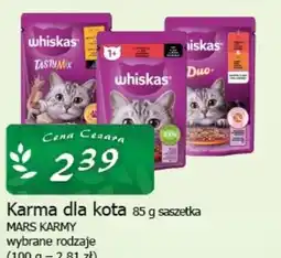 Cezar Delikatesy Whiskas Karma dla kota 85 g saszetka oferta