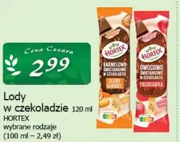 Cezar Delikatesy Lody w w czekoladzie 120 ml oferta