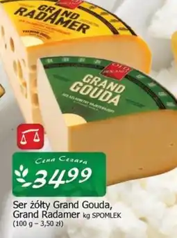 Cezar Delikatesy Ser żółty Grand Gouda, Grand Radamer oferta
