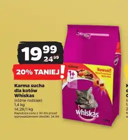 Netto Karma sucha dla kotów Whiskas 1,4 kg oferta