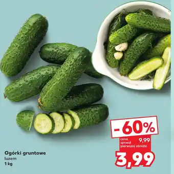 Kaufland Ogórki oferta