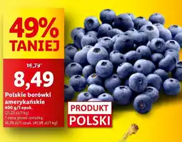 Lidl Borówki amerykańskie Polski oferta