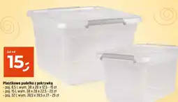Dealz Plastikowe pudełko z pokrywką oferta