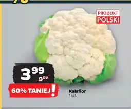 Netto Kalafior oferta