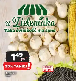 Netto Czosnek oferta