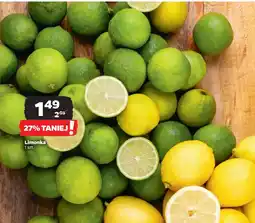Netto Limonka oferta