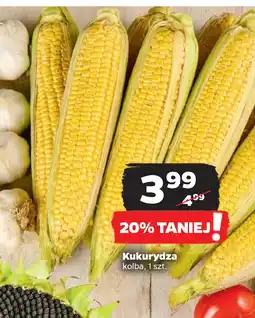 Netto Kukurydza oferta