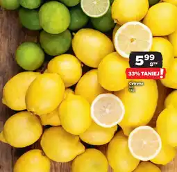 Netto Cytryna oferta