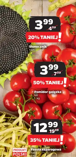 Netto Pomidor gałązka oferta