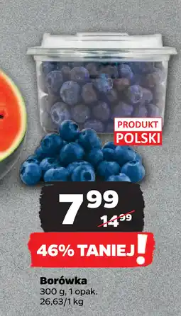 Netto Borówka oferta