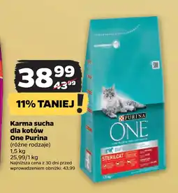 Netto Karma sucha dla kotów One Purina oferta