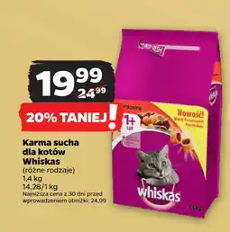 Netto Karma sucha dla kotów Whiskas oferta