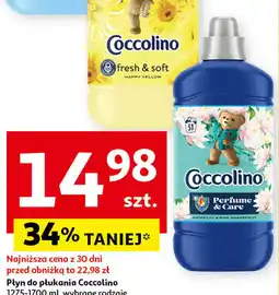 Auchan Coccolino Płyn do płukania 1275-1700 ml, oferta