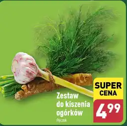ALDI Zestaw do kiszenia ogórków pęczek oferta