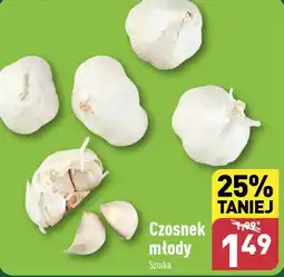 ALDI Czosnek młody szt. oferta