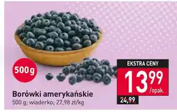 Borówki amerykańskie