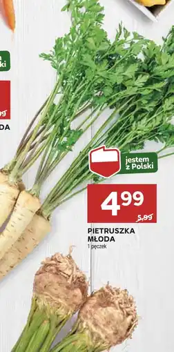 Stokrotka Pietruszka Polski oferta