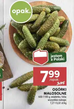 Stokrotka Ogórki Folia oferta