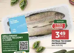Stokrotka Pstrąg tęczowy Mirko oferta