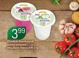 Avita Chłodnik Grześkowiak oferta