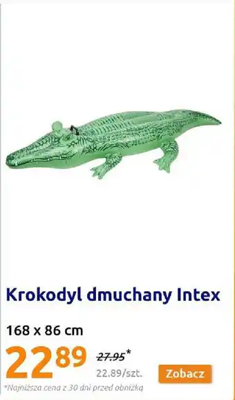 Action Krokodyl dmuchany Intex 168x86cm oferta