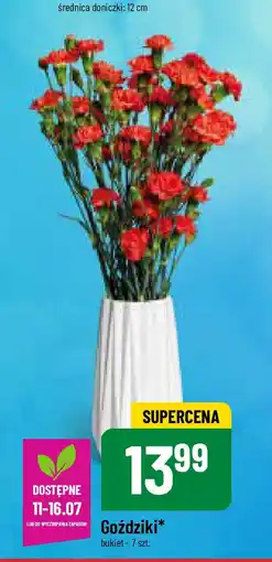 Polomarket Goździki 7 szt. oferta